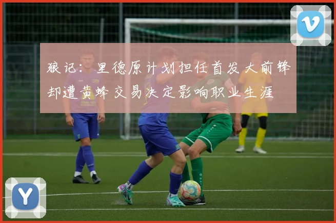 狼记：里德原计划担任首发大前锋却遭黄蜂交易决定影响职业生涯